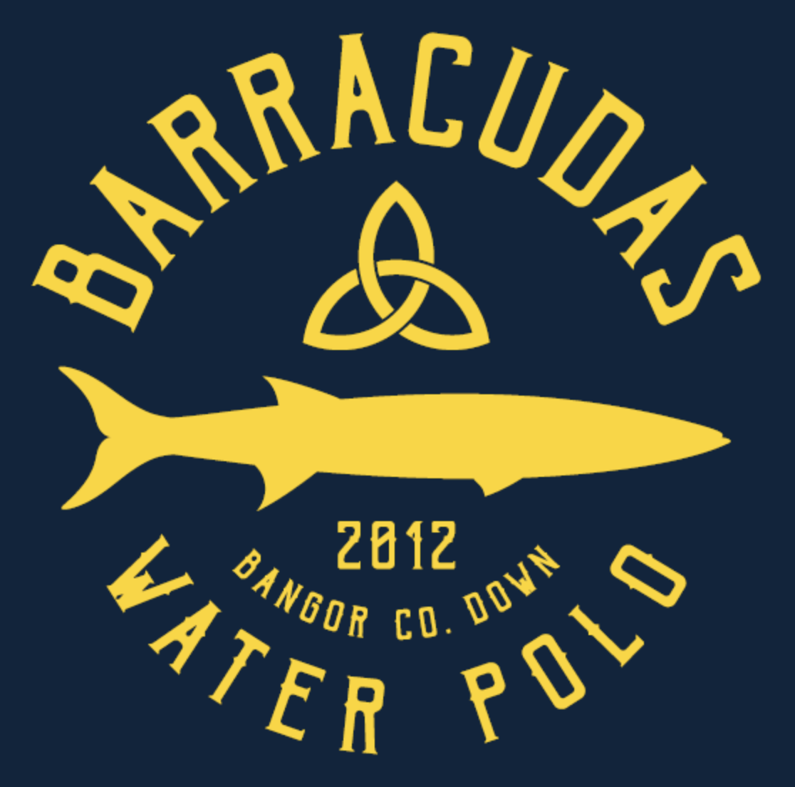 Bangor Barracuda’s Water Polo Club